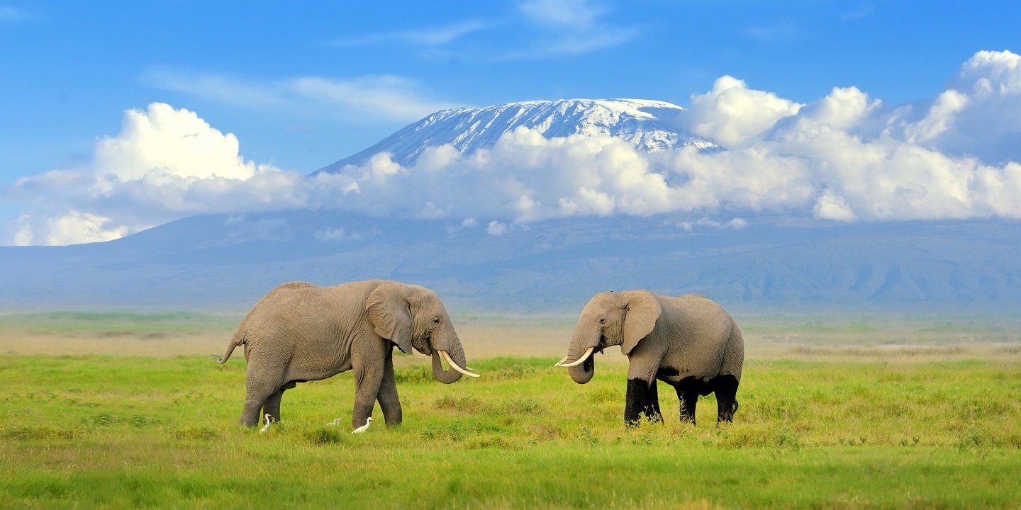 Mt. Kilimanjaro Treks - Collection Mt. Kilimanjaro Treks - Collection