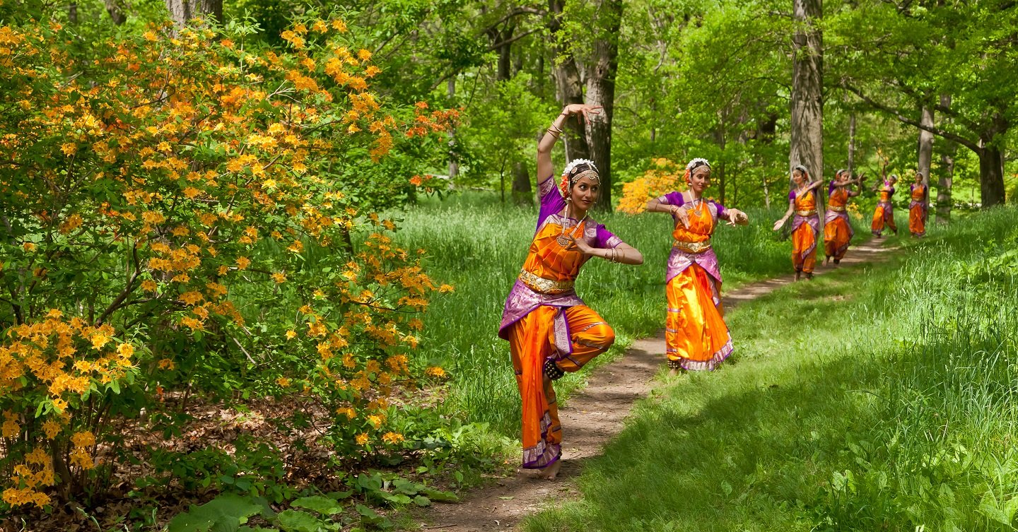 Classical Dance Tours - Collection Classical Dance Tours - Collection