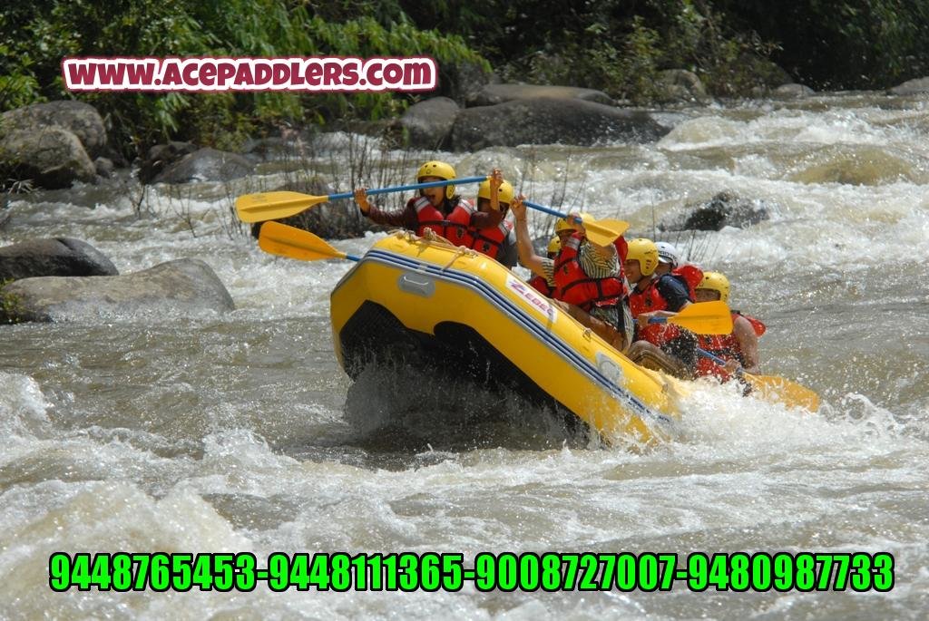 Are you ready for that adrenaline rush with us? Are you ready for that adrenaline rush with us?