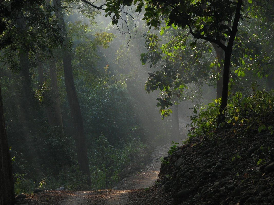 About Explore Corbett About Explore Corbett