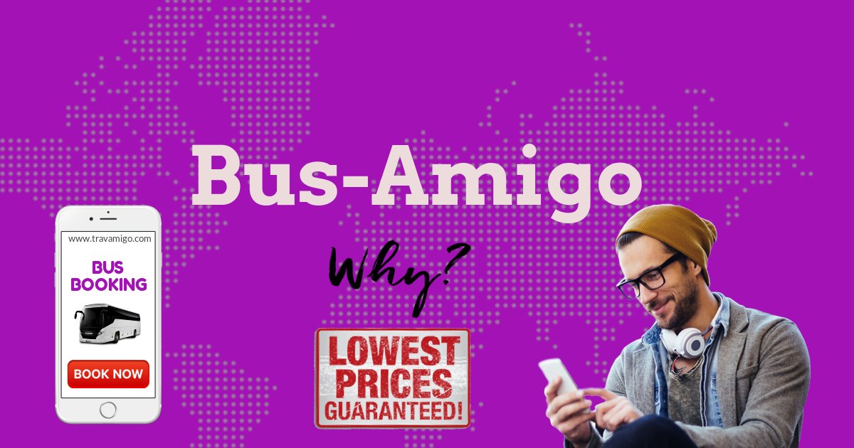 Bus-Amigo - Collection Bus-Amigo - Collection