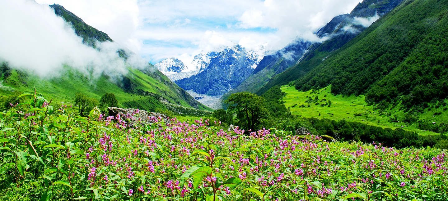 Valley of Flowers Valley of Flowers
