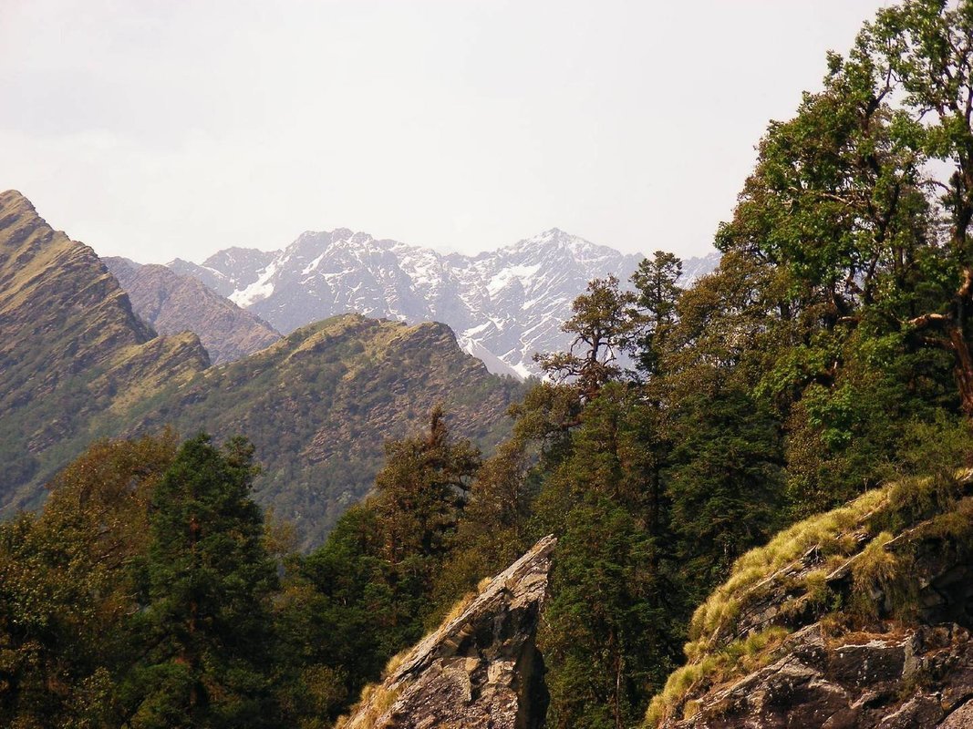 Chopta Chopta