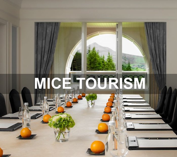 MICE TOURS - Collection MICE TOURS - Collection