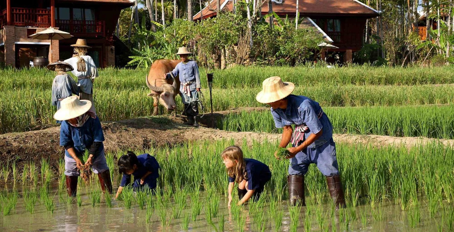 Family And Fun Tours Of Thailand - Collection Family And Fun Tours Of Thailand - Collection