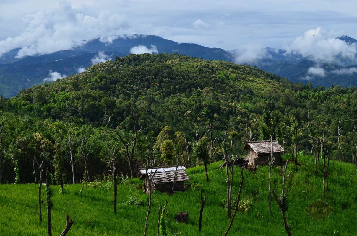 Natural Nagaland - Collection Natural Nagaland - Collection