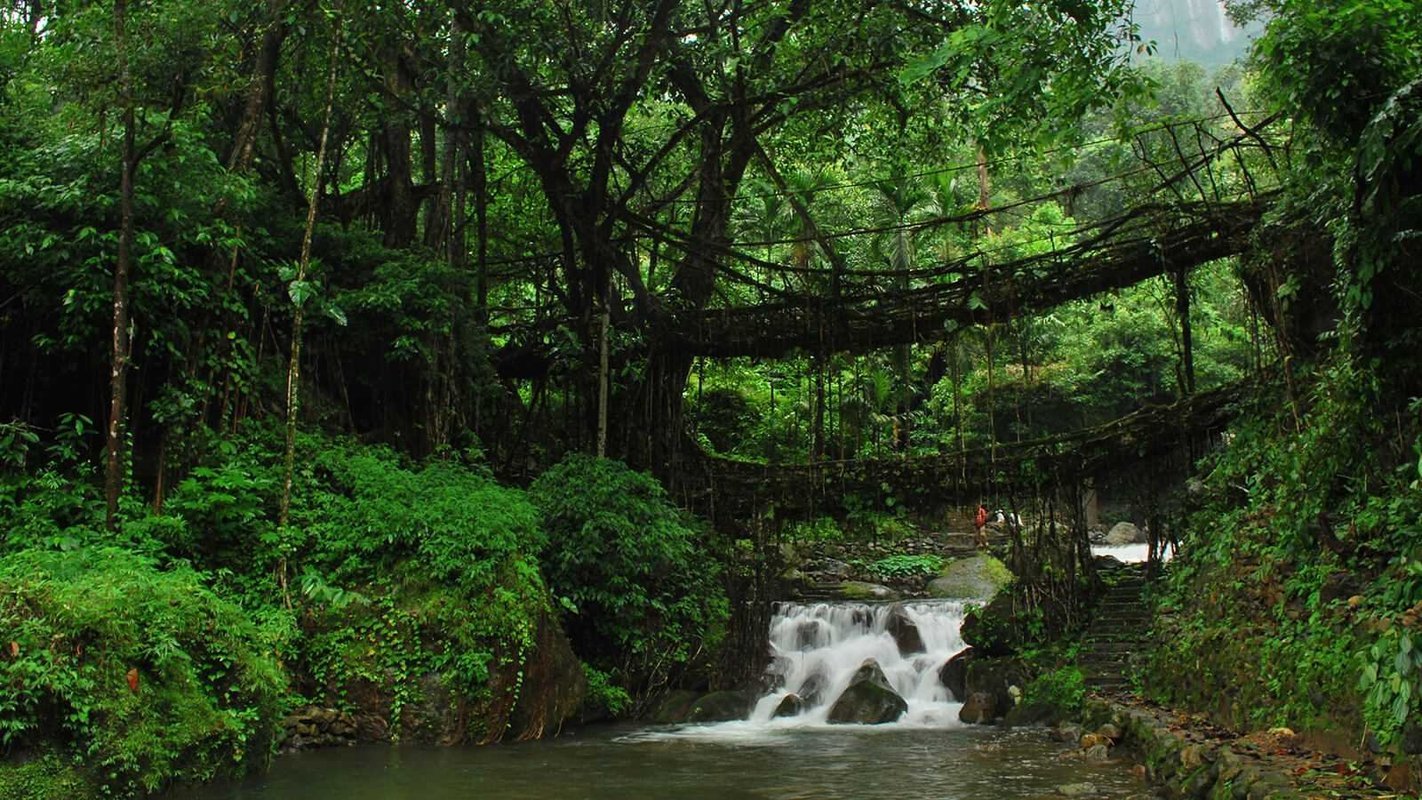 Mesmerizing Meghalaya - Collection Mesmerizing Meghalaya - Collection