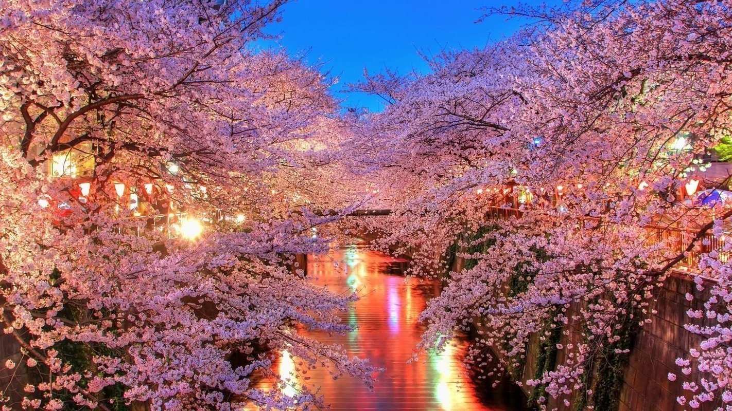 Cherry Blossom Japan with Optional Hiroshima Tour - Tour Cherry Blossom Japan with Optional Hiroshima Tour - Tour