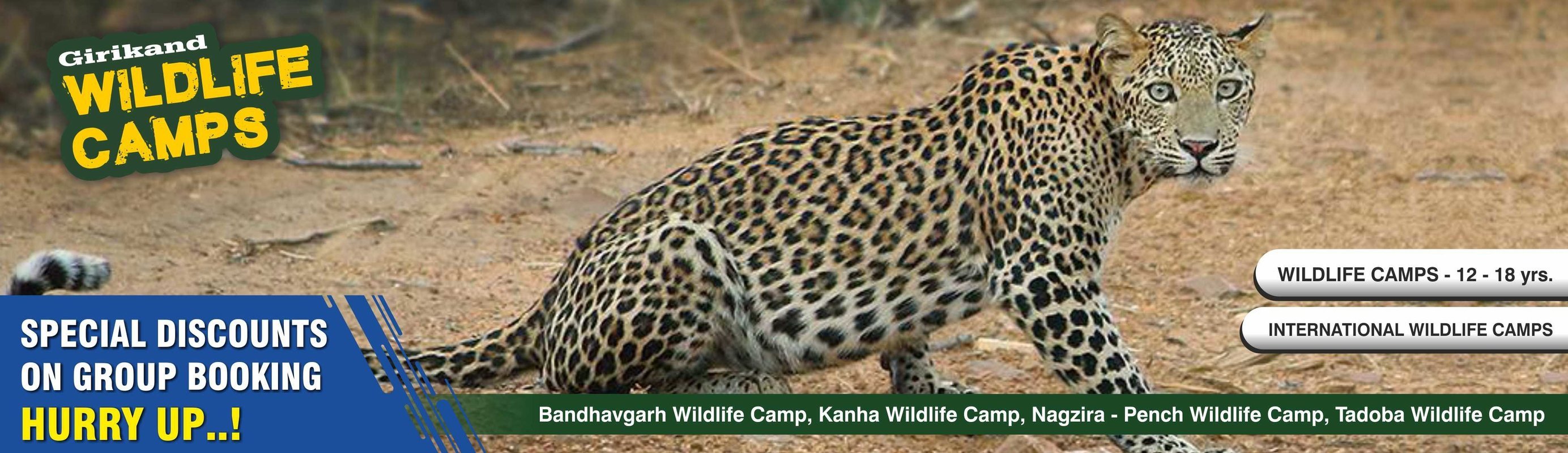 Wildlife Camps (12-18 Years) - Collection Wildlife Camps (12-18 Years) - Collection
