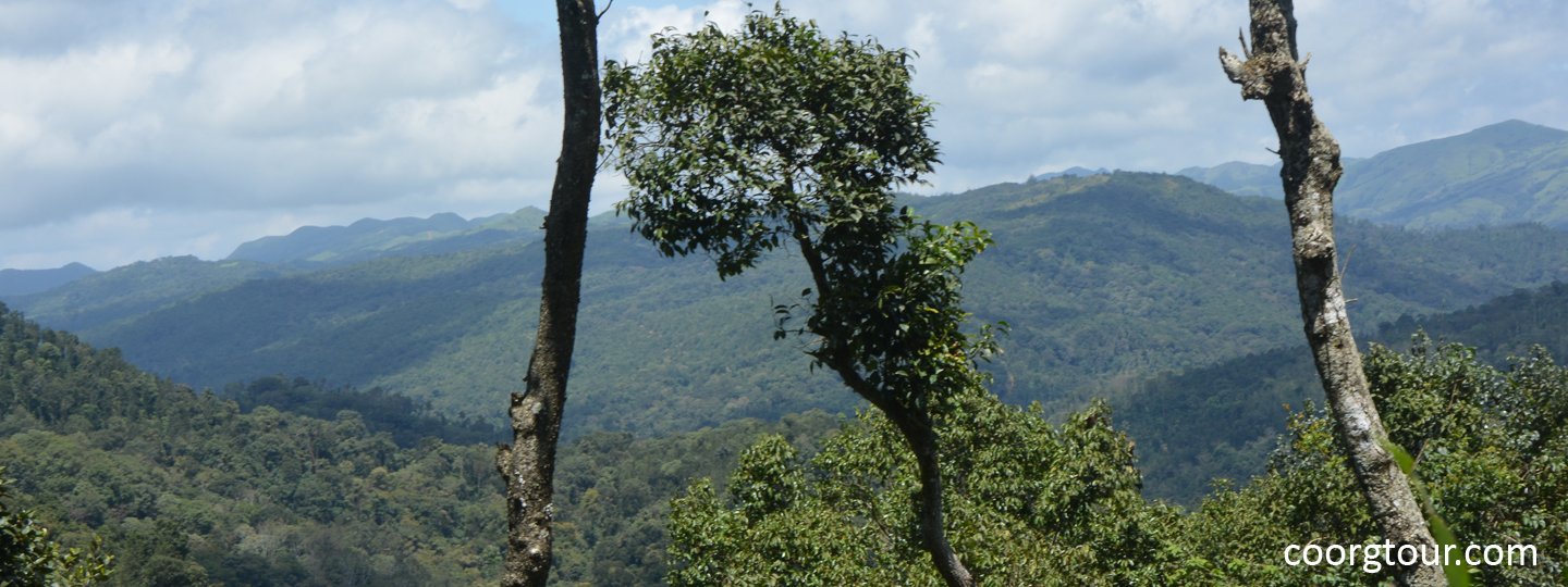 Coorg Coach Tour - Collection Coorg Coach Tour - Collection