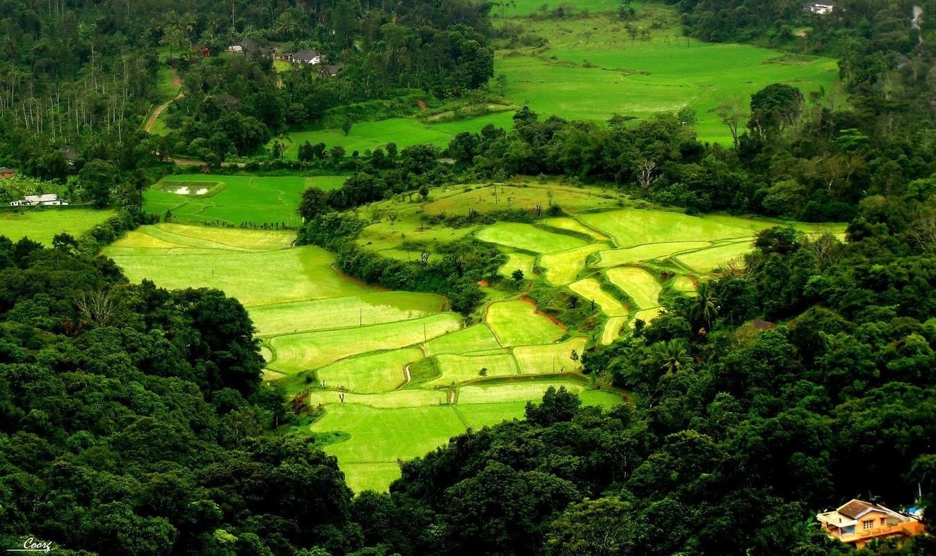 Coorg India tour packages from Bangalore - Collection Coorg India tour packages from Bangalore - Collection