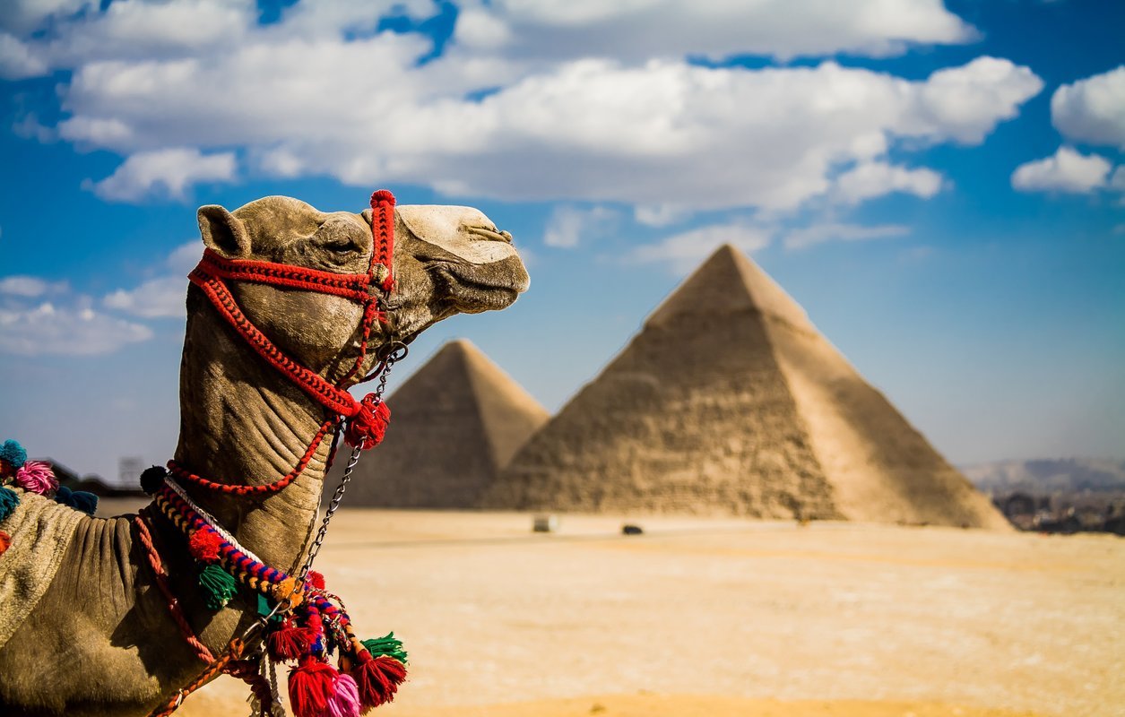 Egypt Packages - Collection Egypt Packages - Collection