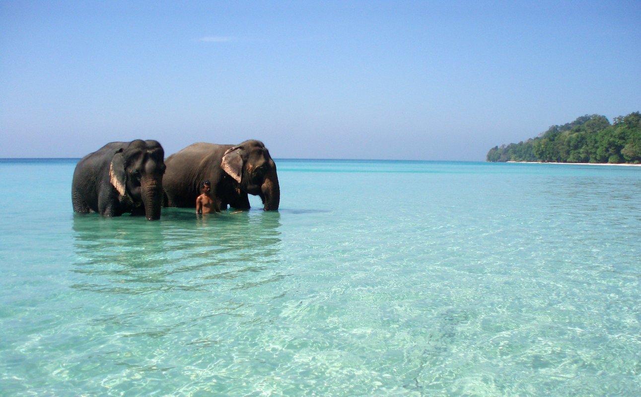 Andaman Packages - Collection Andaman Packages - Collection