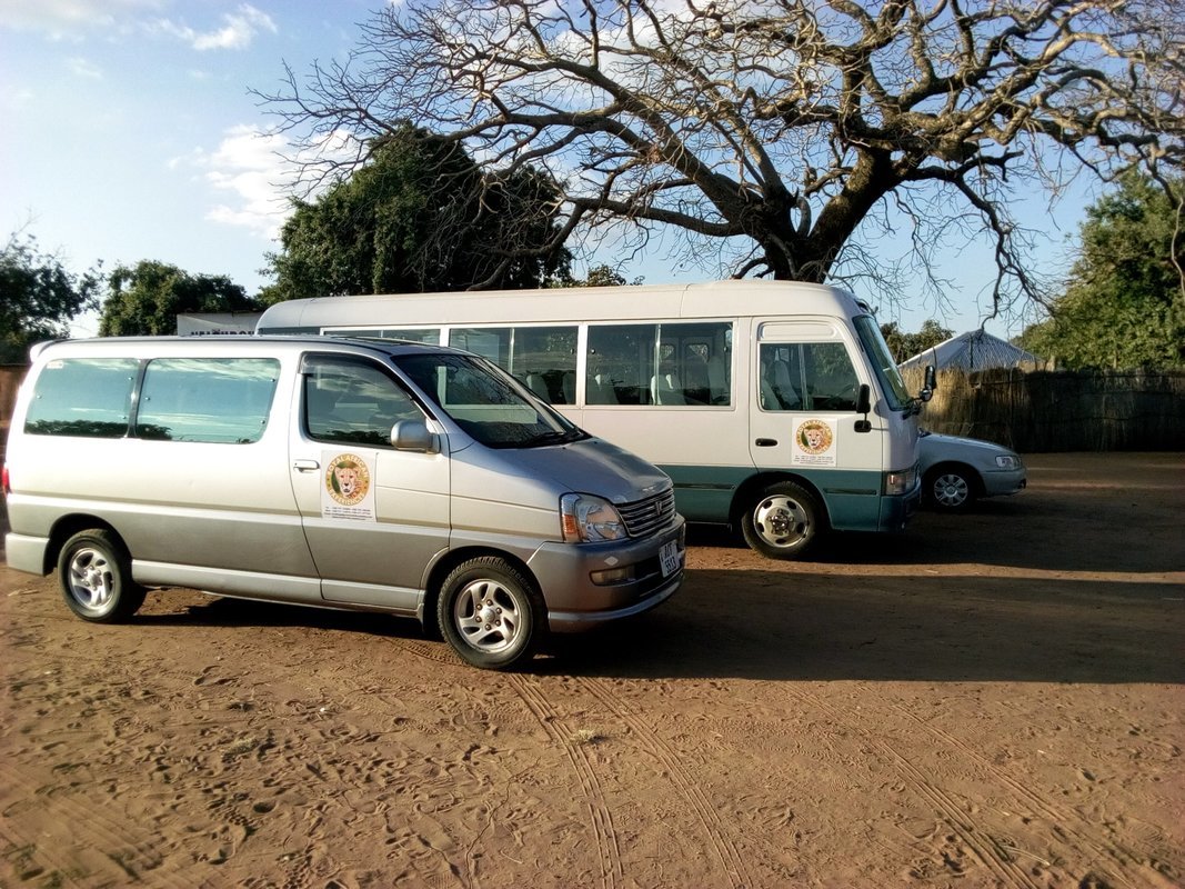 About Royal African Experiences About Royal African Experiences