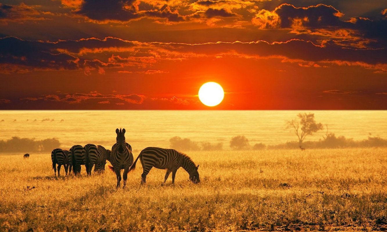 Africa Tours - Collection Africa Tours - Collection