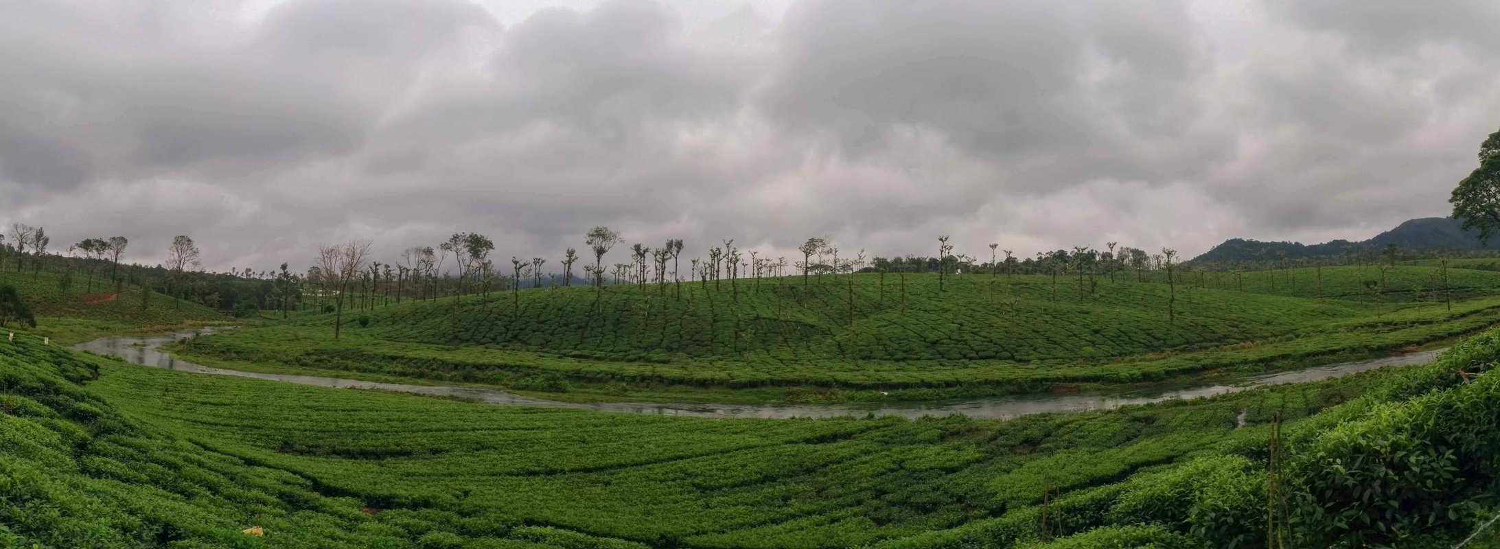 Upcoming Treks in Kerala - Collection Upcoming Treks in Kerala - Collection