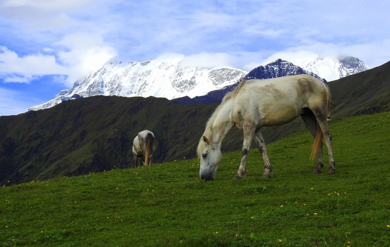Himalayan Treks in Himachal Pradesh - Collection Himalayan Treks in Himachal Pradesh - Collection