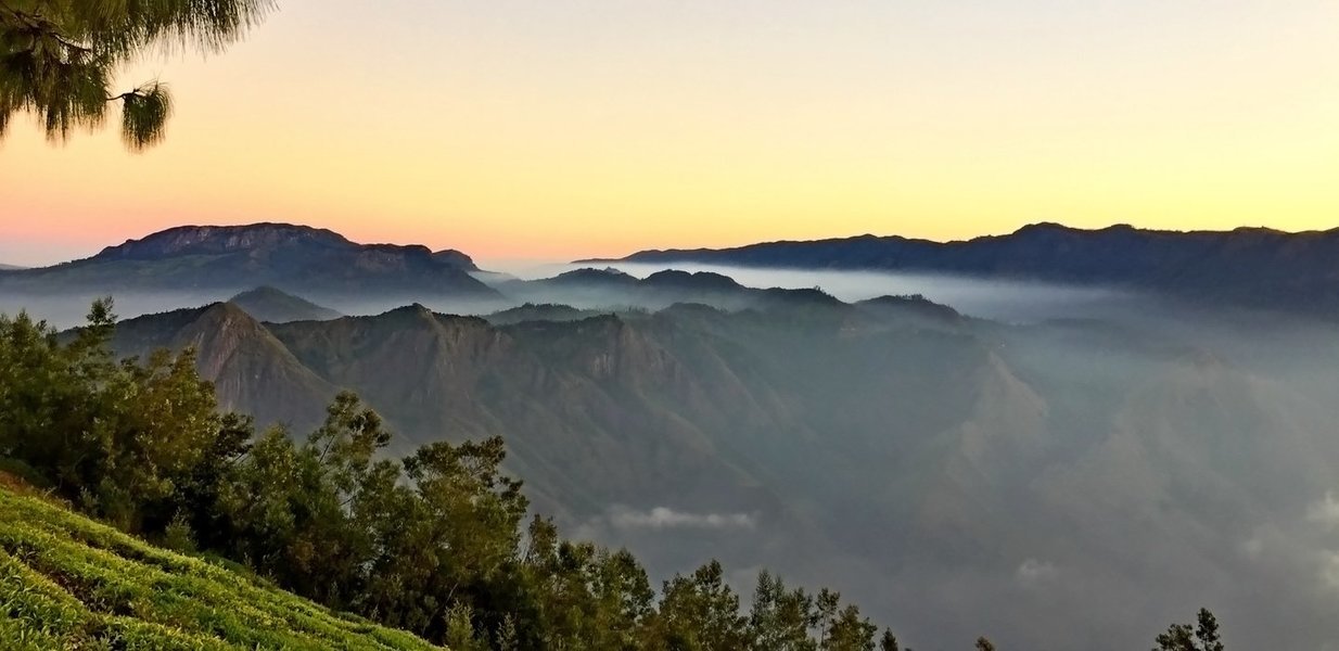 Trek to Kolukkumalai Tea Estate