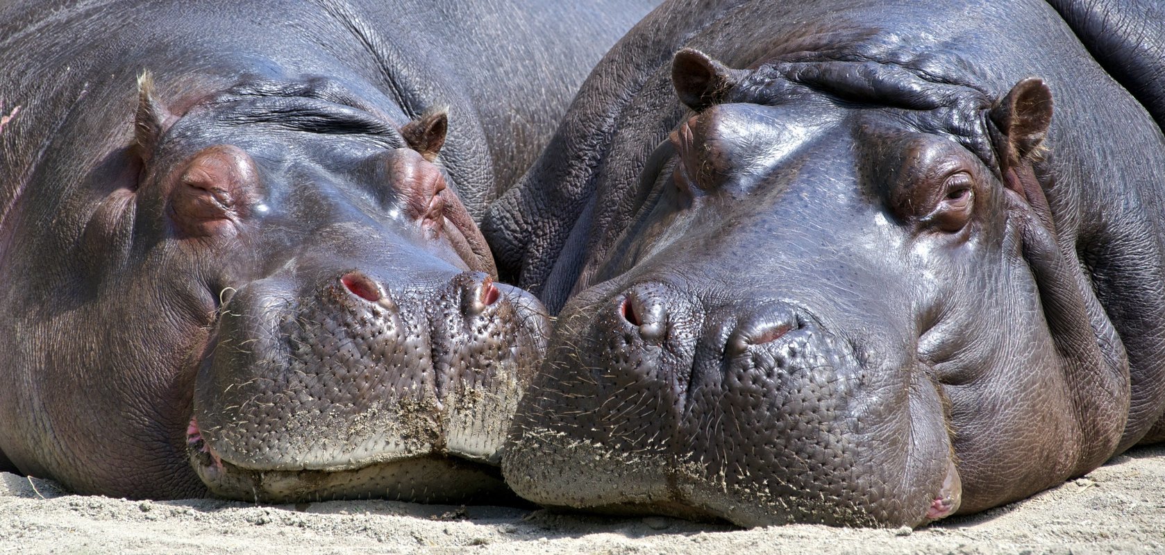 Dar es salaam | Tanzania Safaris - Collection Dar es salaam | Tanzania Safaris - Collection