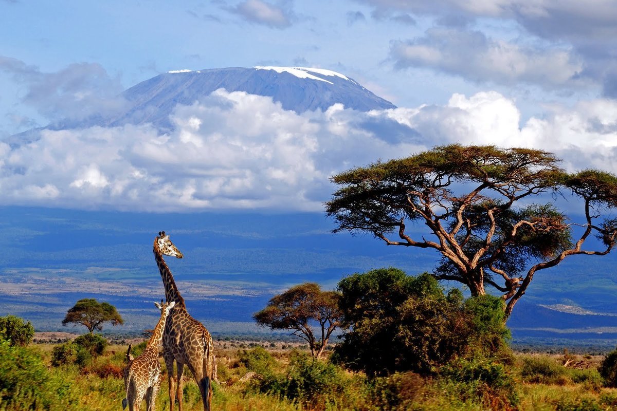 African Safari Destinations - Collection African Safari Destinations - Collection