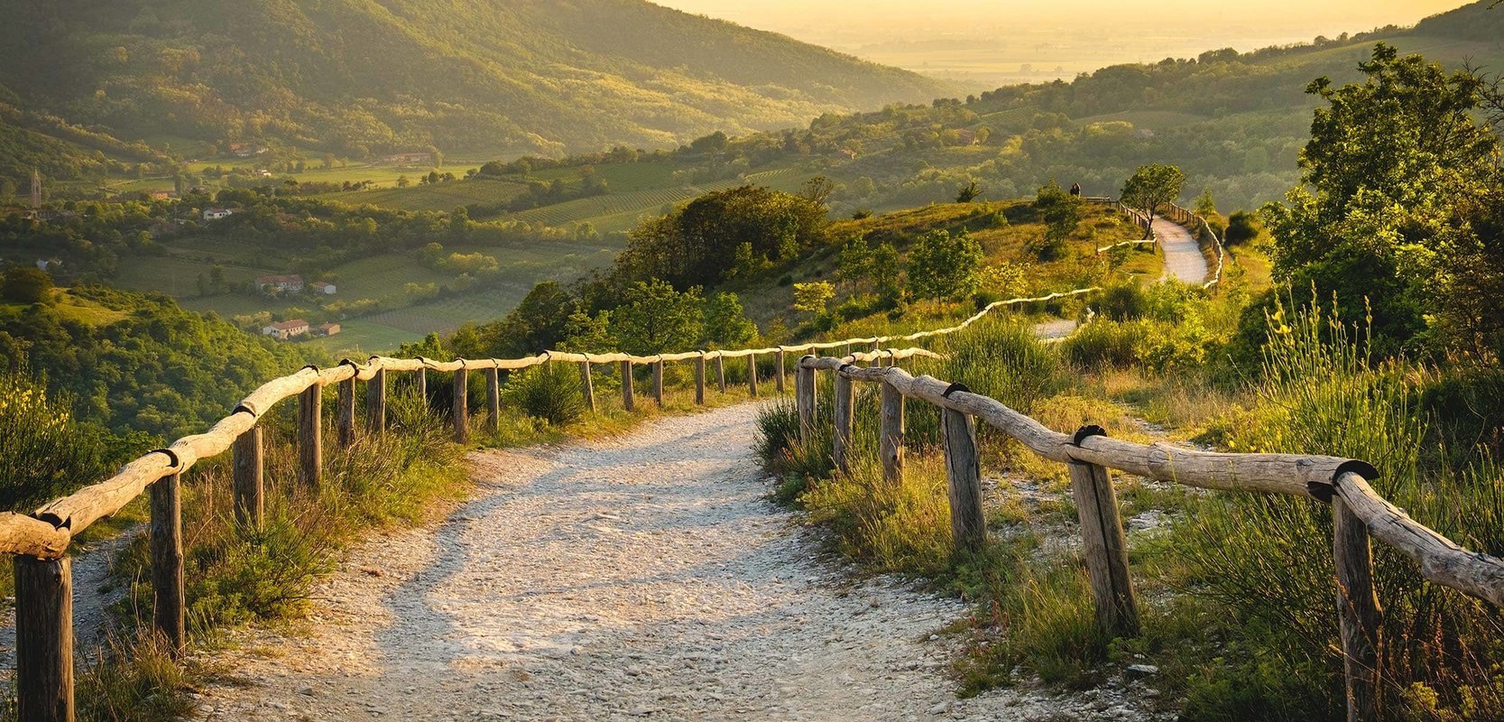 Day Trips/Excursions - Collection Day Trips/Excursions - Collection