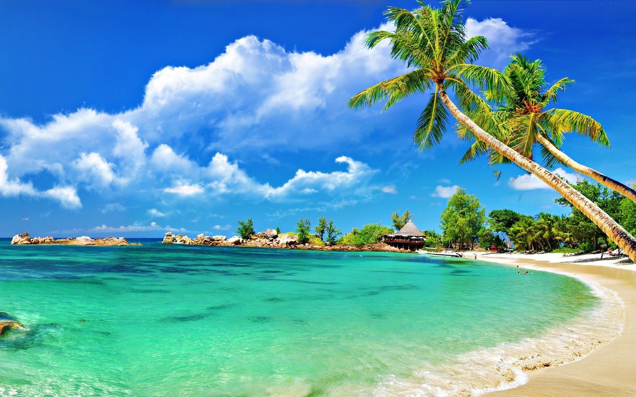 BOOK NOW SAVE NOW - Coupon BOOK NOW SAVE NOW - Coupon