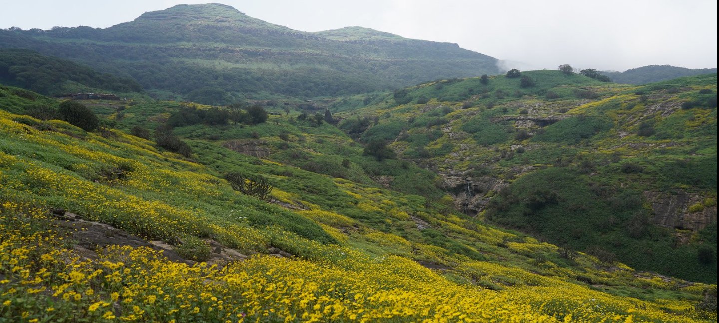 Harishchandragad Trek | Treks and Trails India