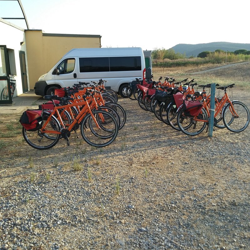 Bike Rental - Collection Bike Rental - Collection