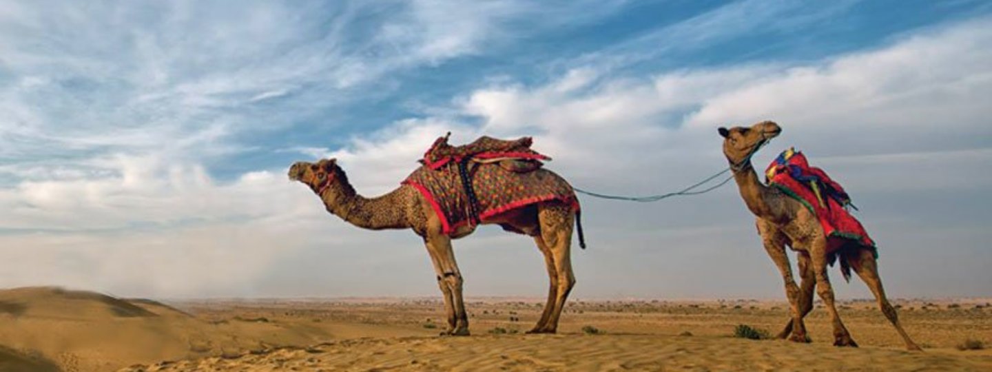 Best Of India Golden Triangle Tour Packages Private Tour Package