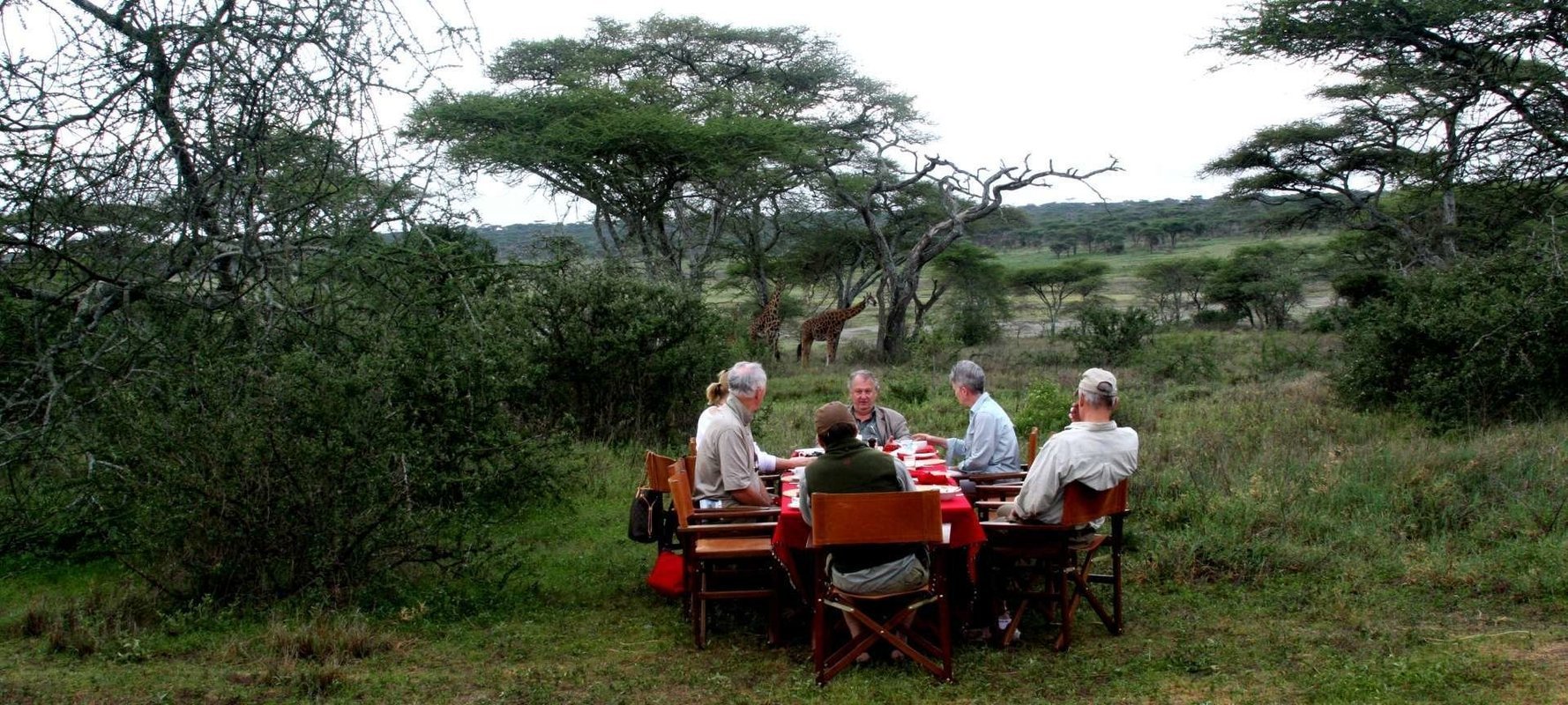 Classic African Safaris - Collection Classic African Safaris - Collection