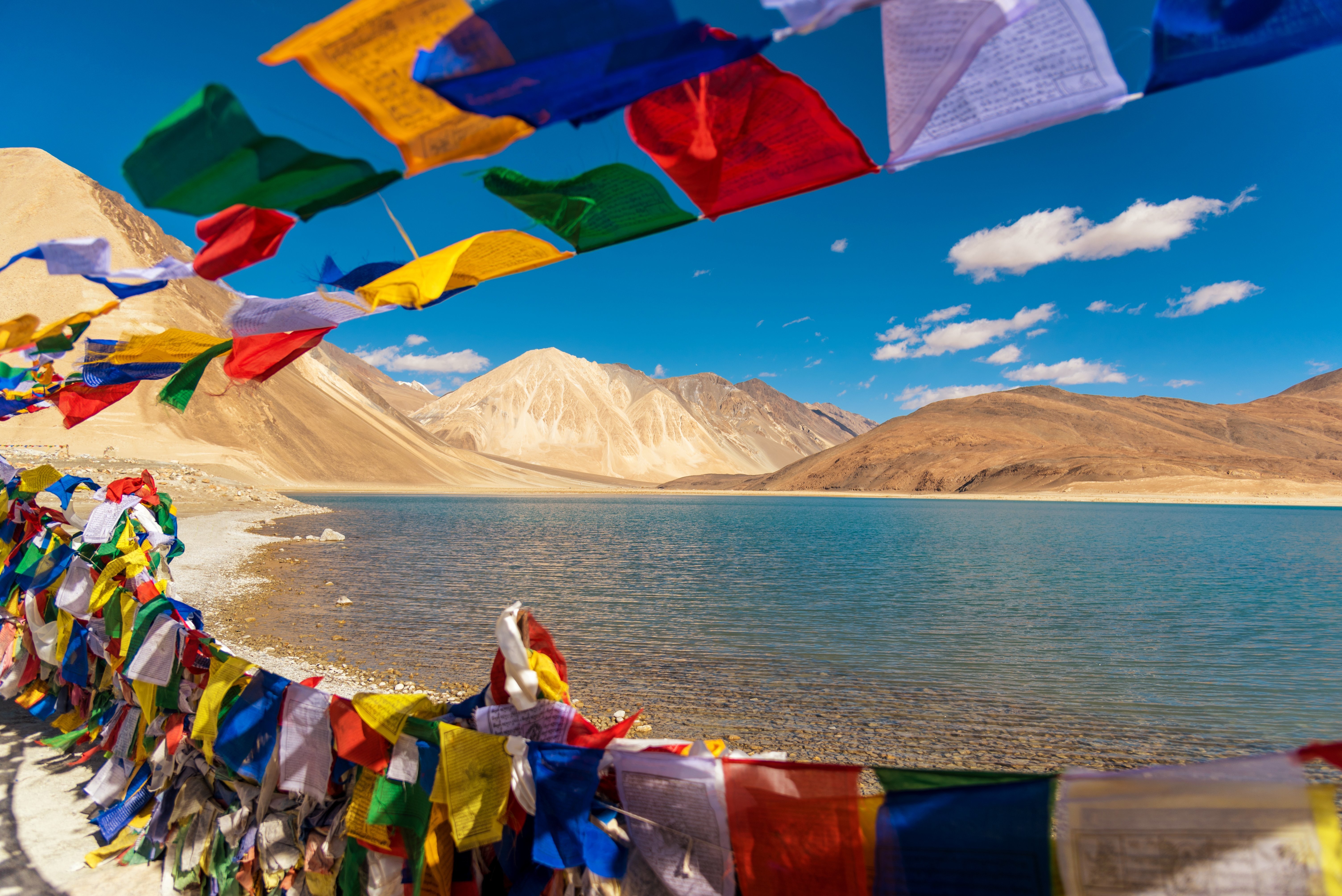 tour packages from delhi to ladakh