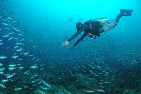 Picturesque Port Blair with Hearty Havelock - Tour