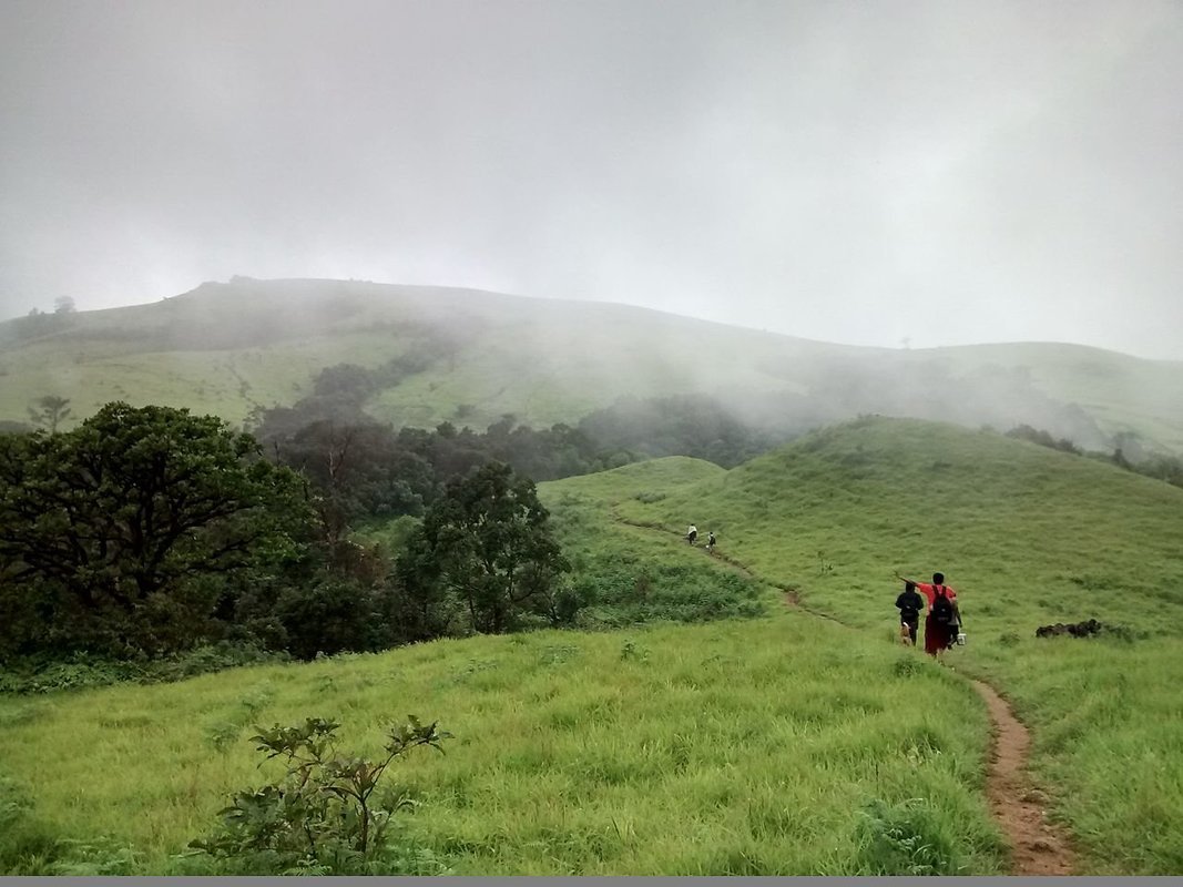 Trekking near Bangalore - Collection Trekking near Bangalore - Collection
