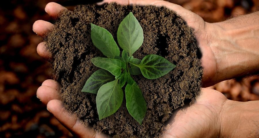 Our Responsible and Sustainable policy Our Responsible and Sustainable policy