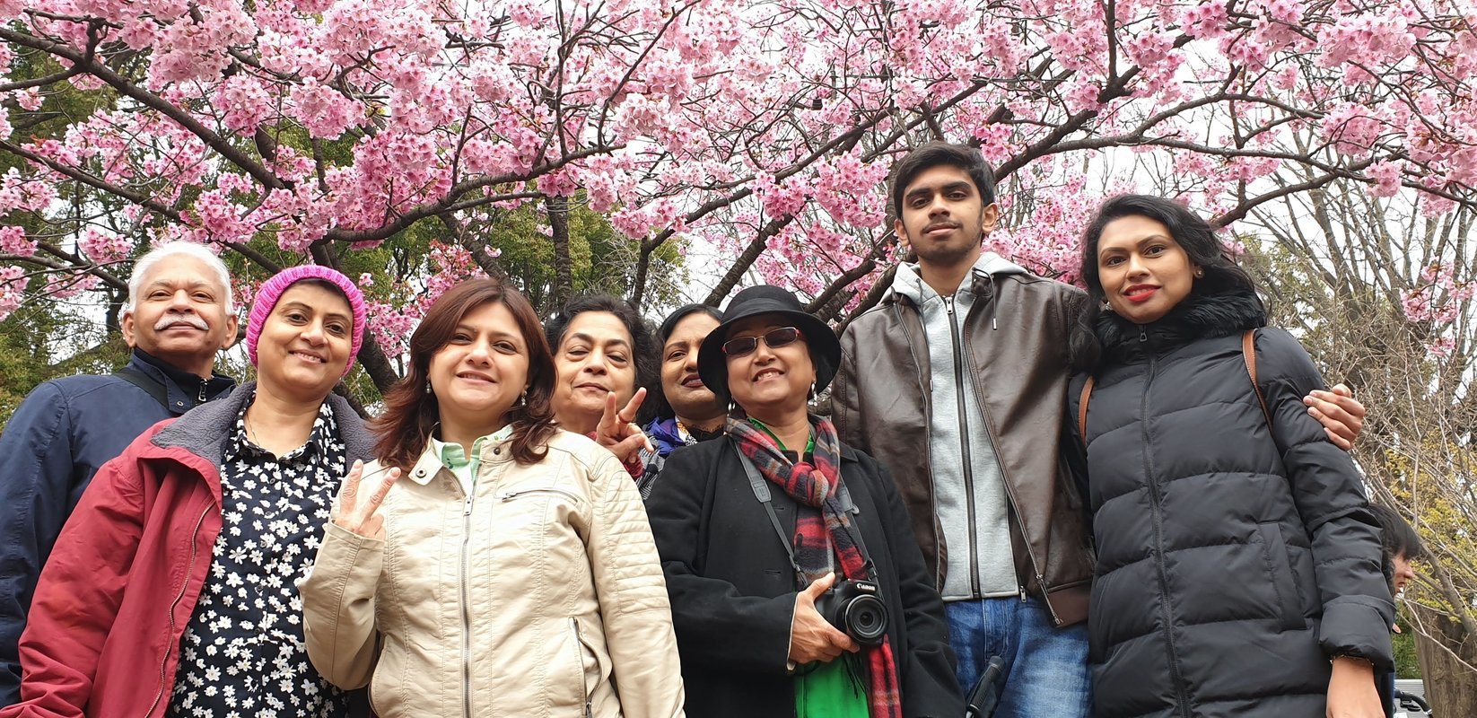 Cherry Blossom Japan with Hiroshima Tour - Tour Cherry Blossom Japan with Hiroshima Tour - Tour