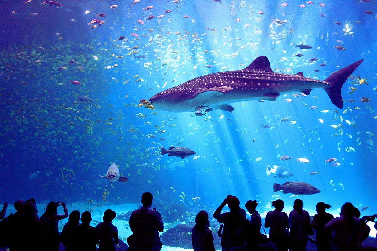 Dubai Aquarium & Underwater Zoo
