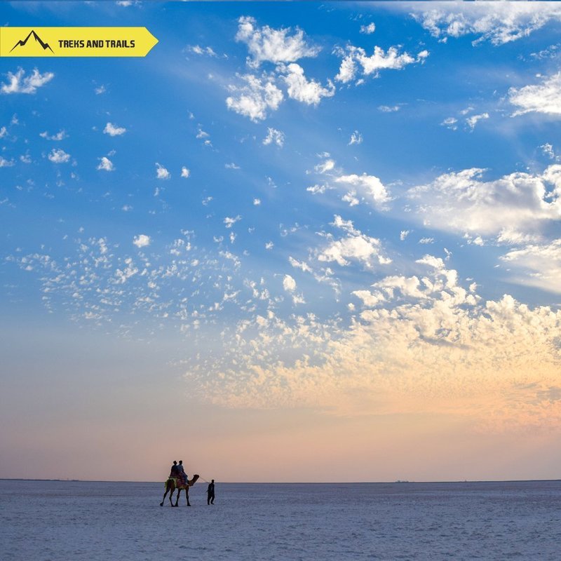 Rann Utsav - Collection Rann Utsav - Collection