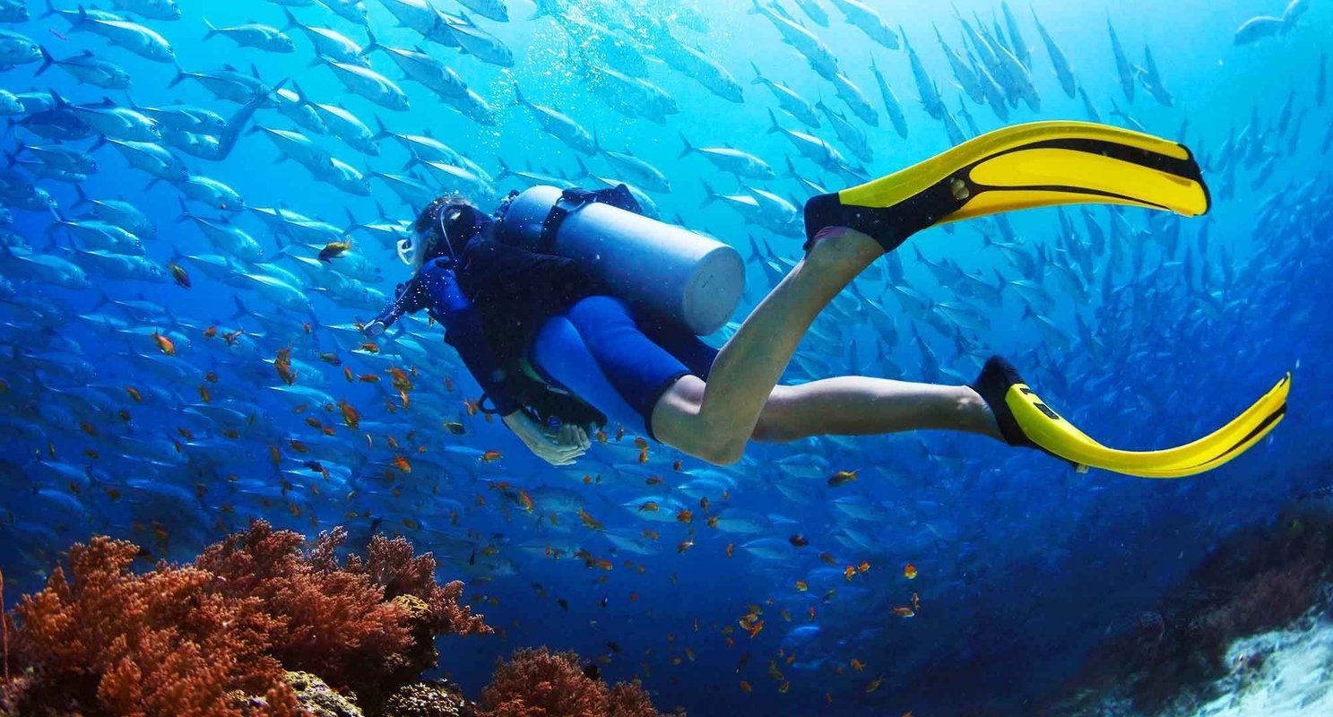 Scuba Diving - Collection Scuba Diving - Collection