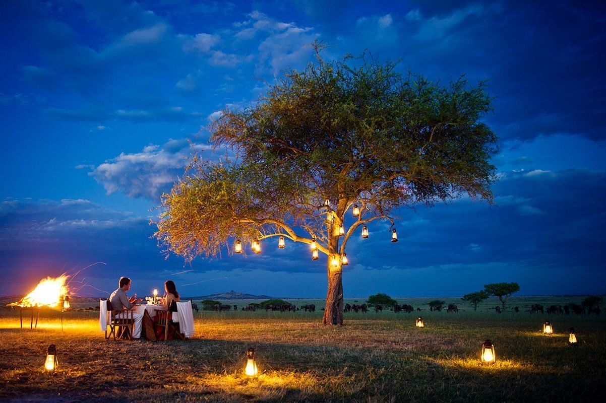 Speciality Safaris - Collection Speciality Safaris - Collection