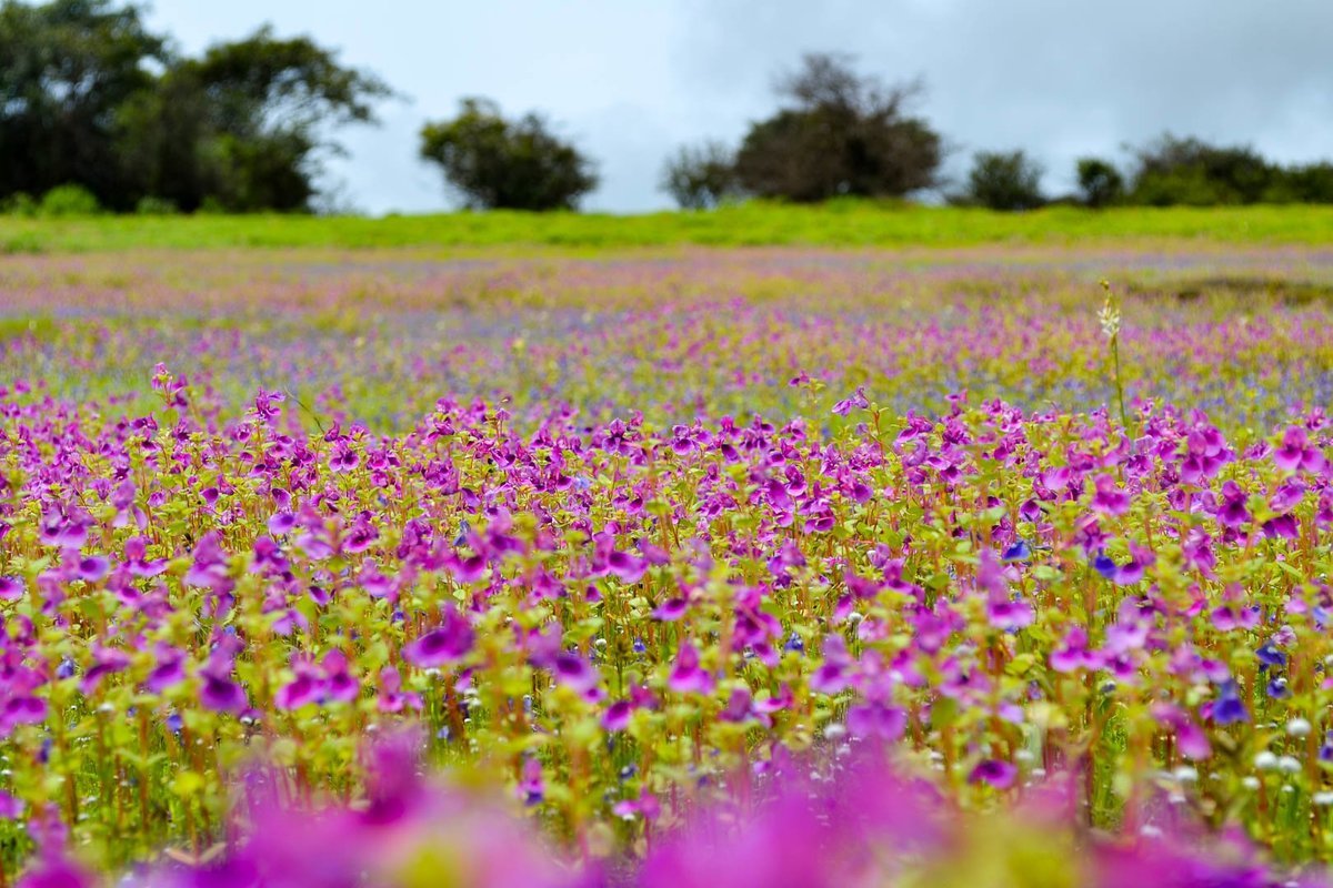 Places to go near pune - Collection Places to go near pune - Collection