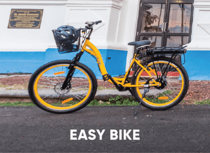 Easy Electric Bike
